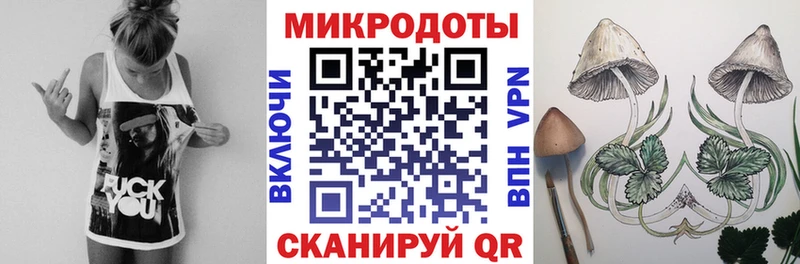 Галлюциногенные грибы MAGIC MUSHROOMS  даркнет Telegram  Шадринск  mega tor 
