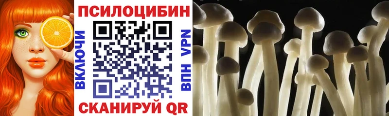 Псилоцибиновые грибы прущие грибы Шадринск
